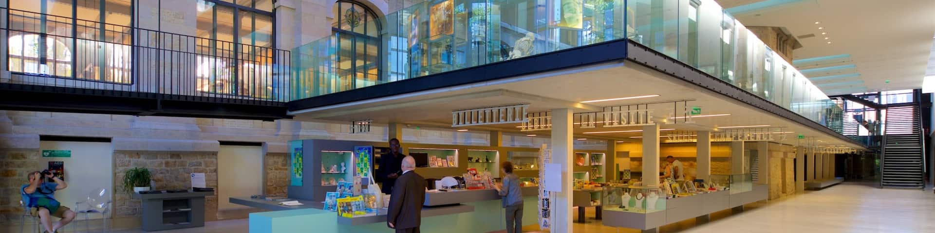 Musée National Adrien Dubouché qui includes vues intérieures aussi bien que petit groupe de personnes