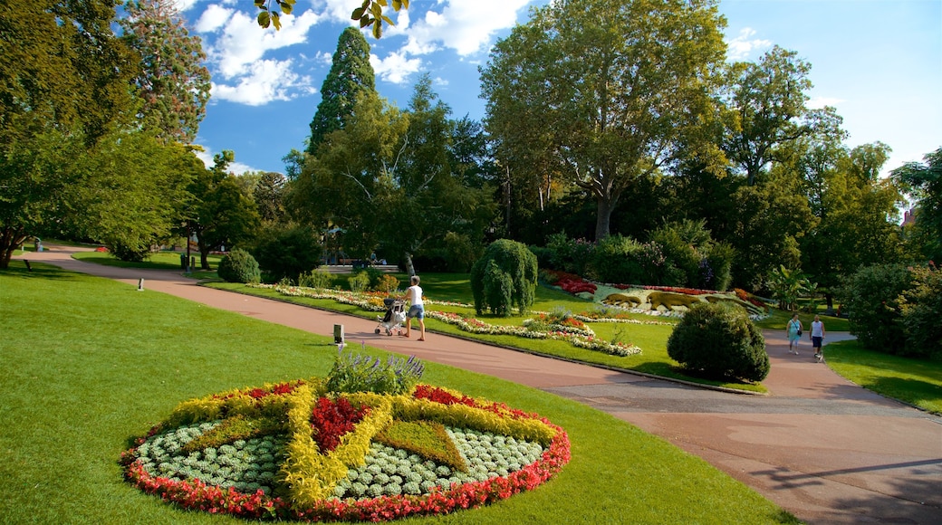 Jardin Lecoq mostrando flores, senderismo o caminata y un parque