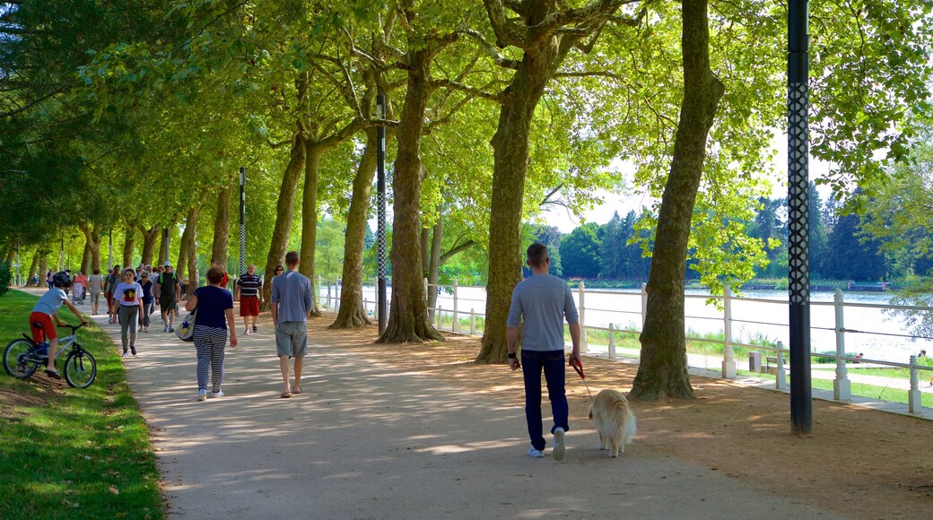 Vichy featuring hiking or walking, cuddly or friendly animals and a park