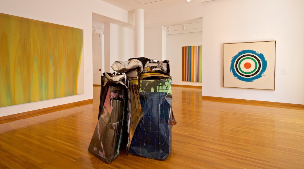 Des Moines Art Center qui includes art et vues intérieures
