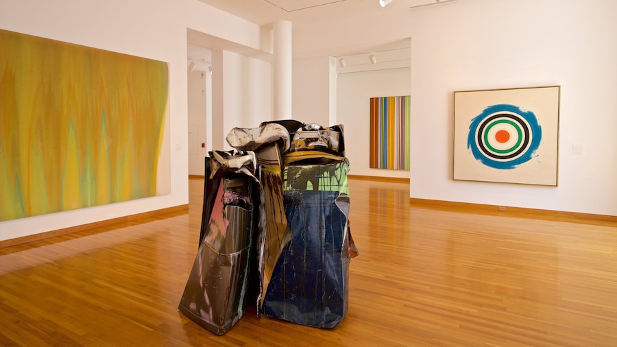 Des Moines Art Center which includes interior views and art