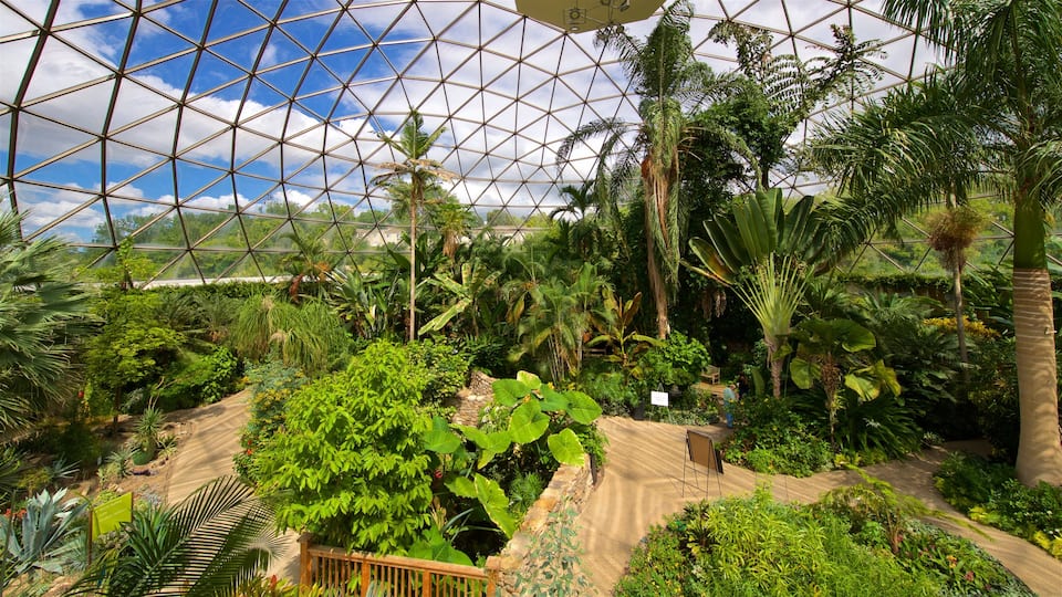 Des Moines Botanical Center que incluye un jardín y vistas de interior