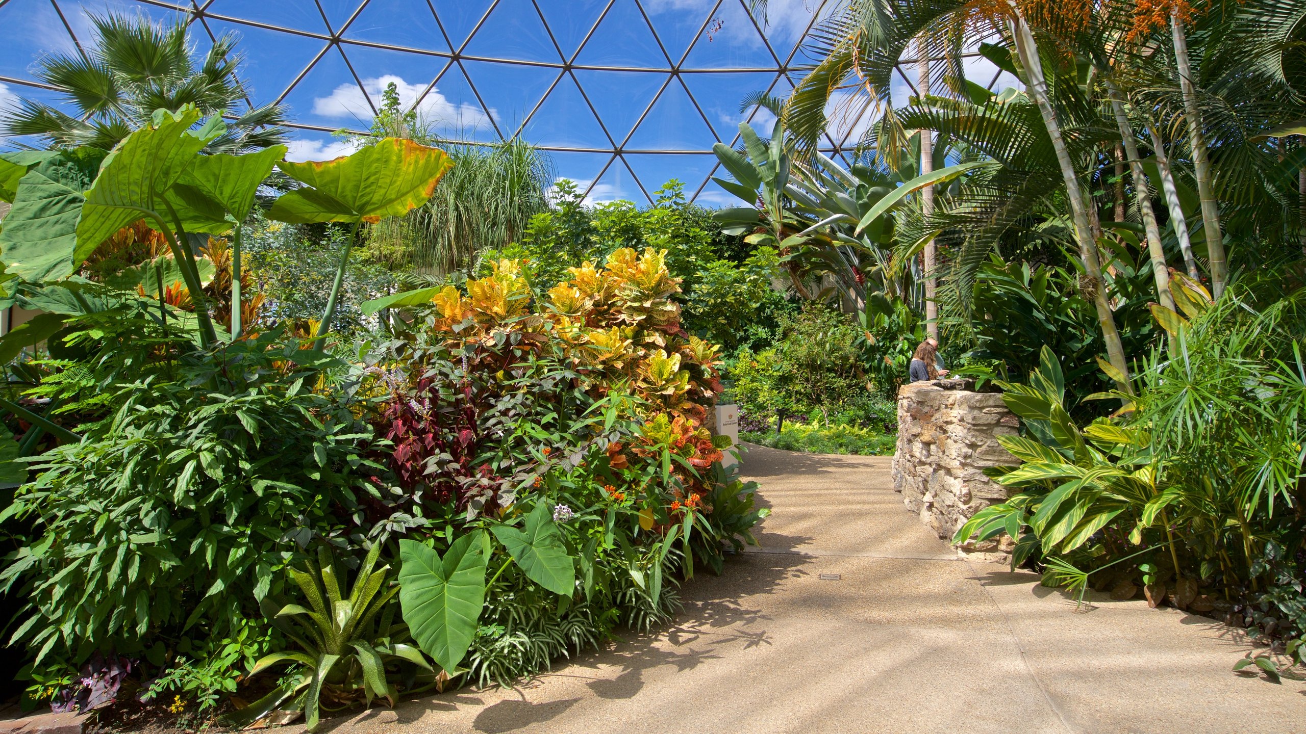 Greater Des Moines Botanical Garden In Des Moines Expedia Greater Des Moines Botanical Garden In Des Moines Expedia