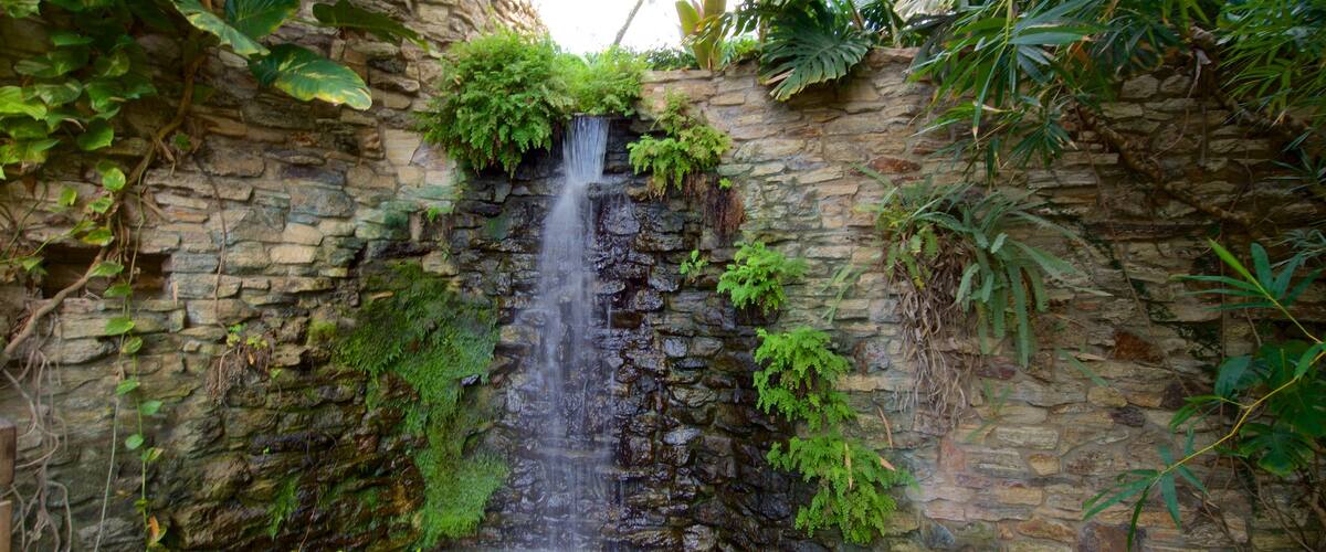 Des Moines Botanical Center featuring a cascade