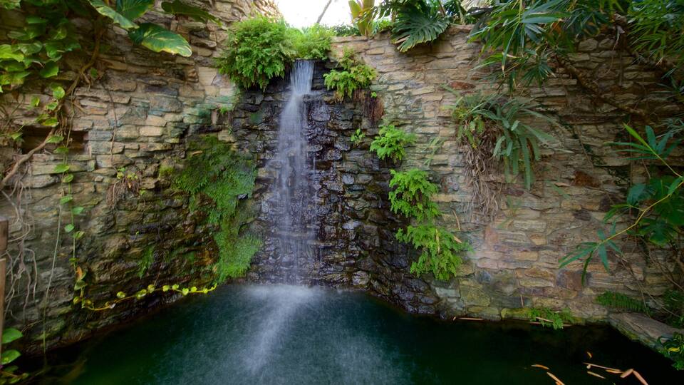 Des Moines Botanical Center featuring a cascade