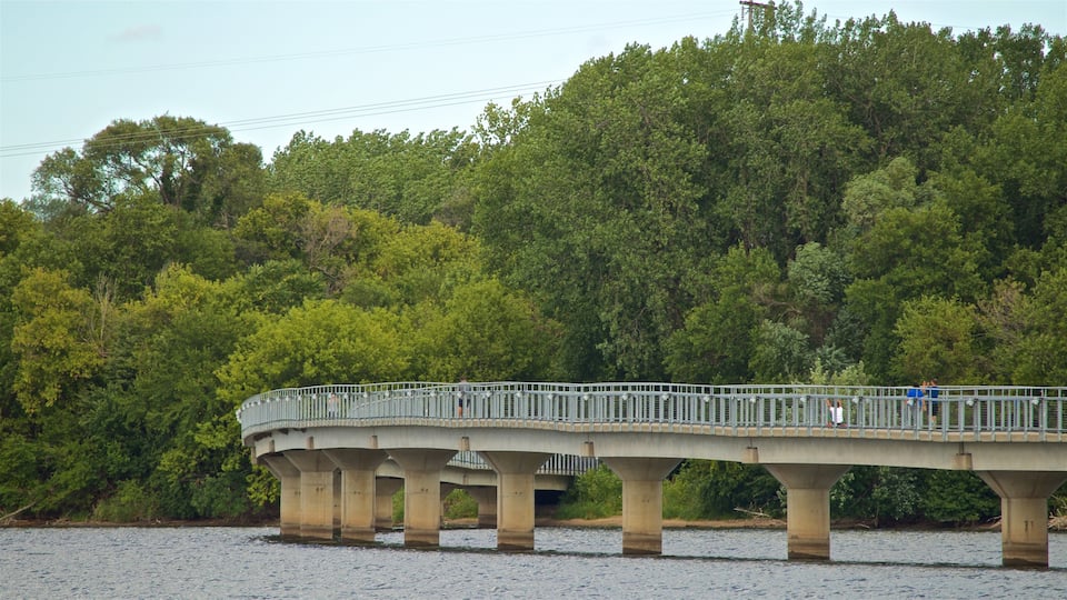 Grayslake welches beinhaltet Fluss oder Bach und Brücke