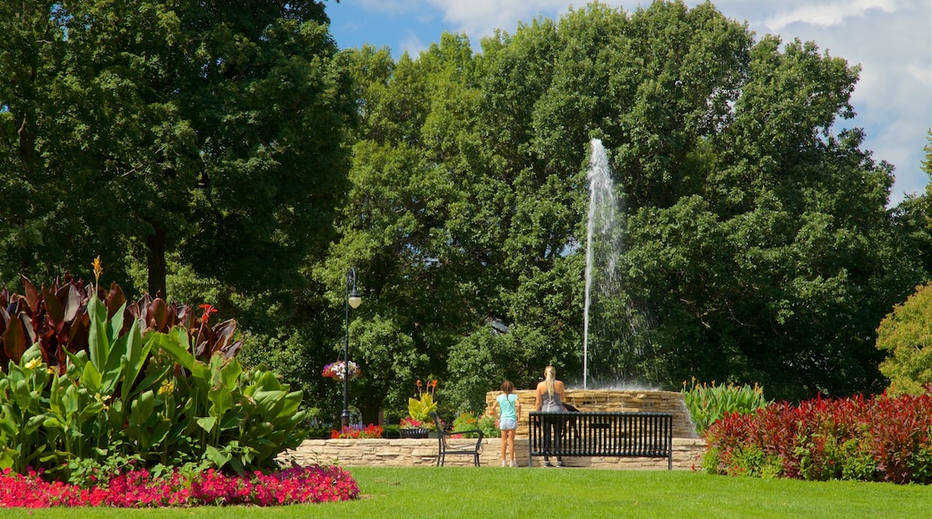Vander Veer botaniske have som viser vilde blomster, en have og et springvand