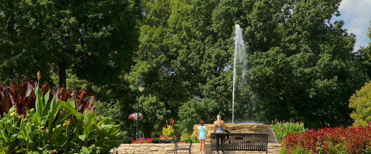Vander Veer Botanical Park which includes a park, a fountain and wild flowers