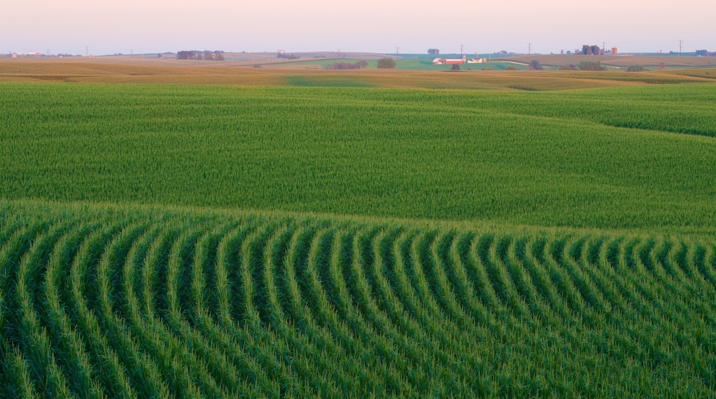 Dubuque showing tranquil scenes, a sunset and farmland