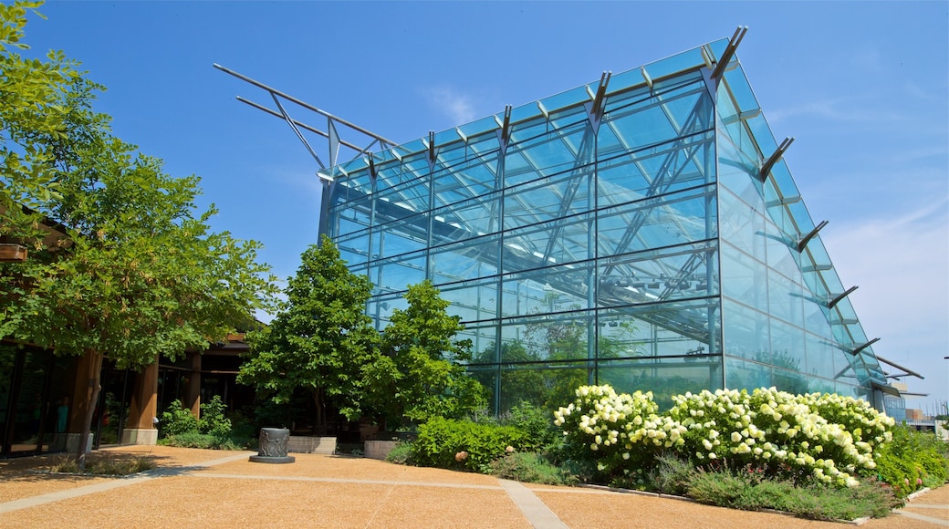 Jardins Reiman que inclui um parque e flores silvestres