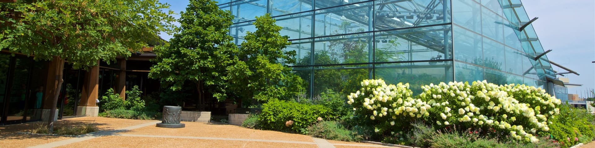 Reiman Gardens featuring a garden and wildflowers