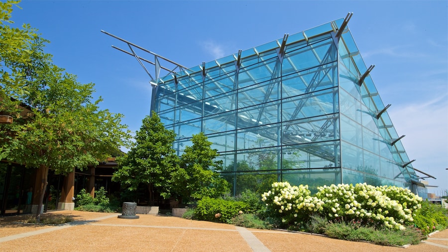 Reiman Gardens que incluye flores silvestres y jardín