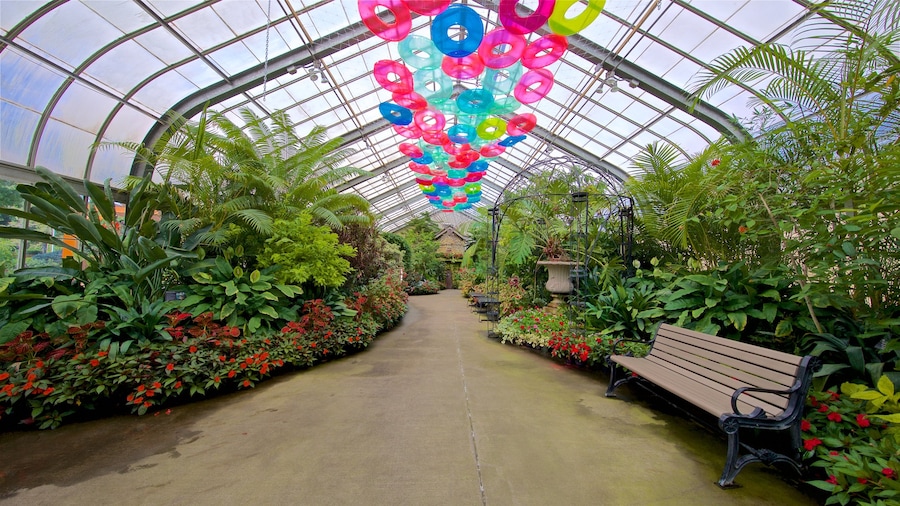 Vander Veer Botanical Park showing wildflowers, a park and interior views