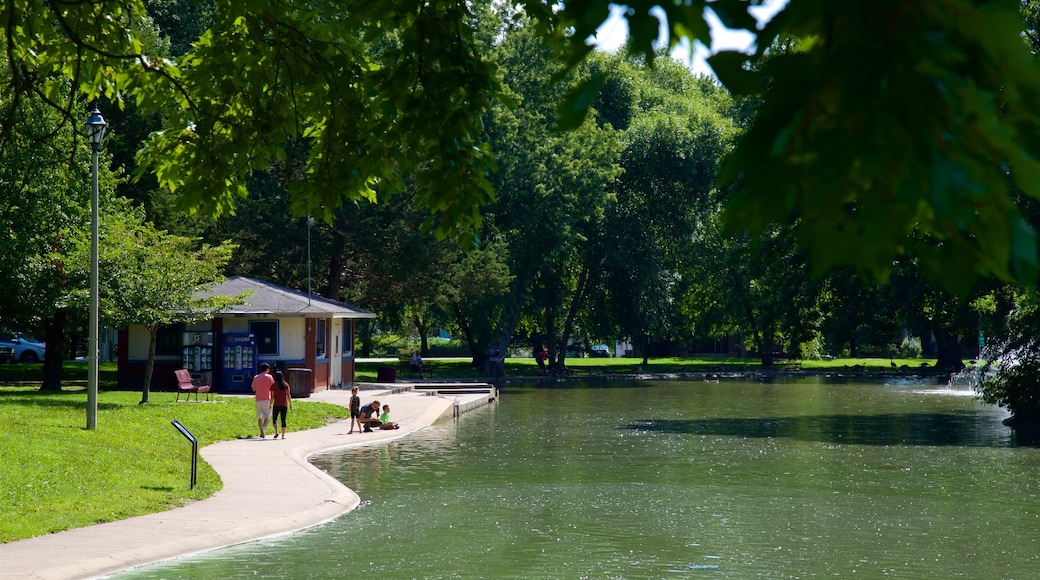 Vander Veer Botanical Park showing a lake or waterhole and a garden