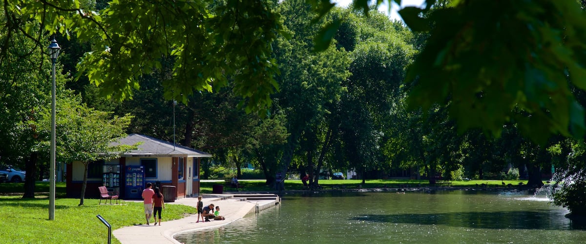 Vander Veer Botanical Park featuring a park and a lake or waterhole