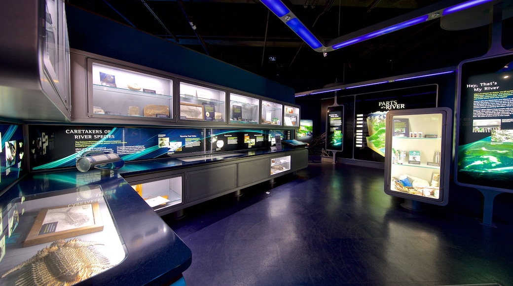 National Mississippi River Museum and Aquarium featuring marine life and interior views