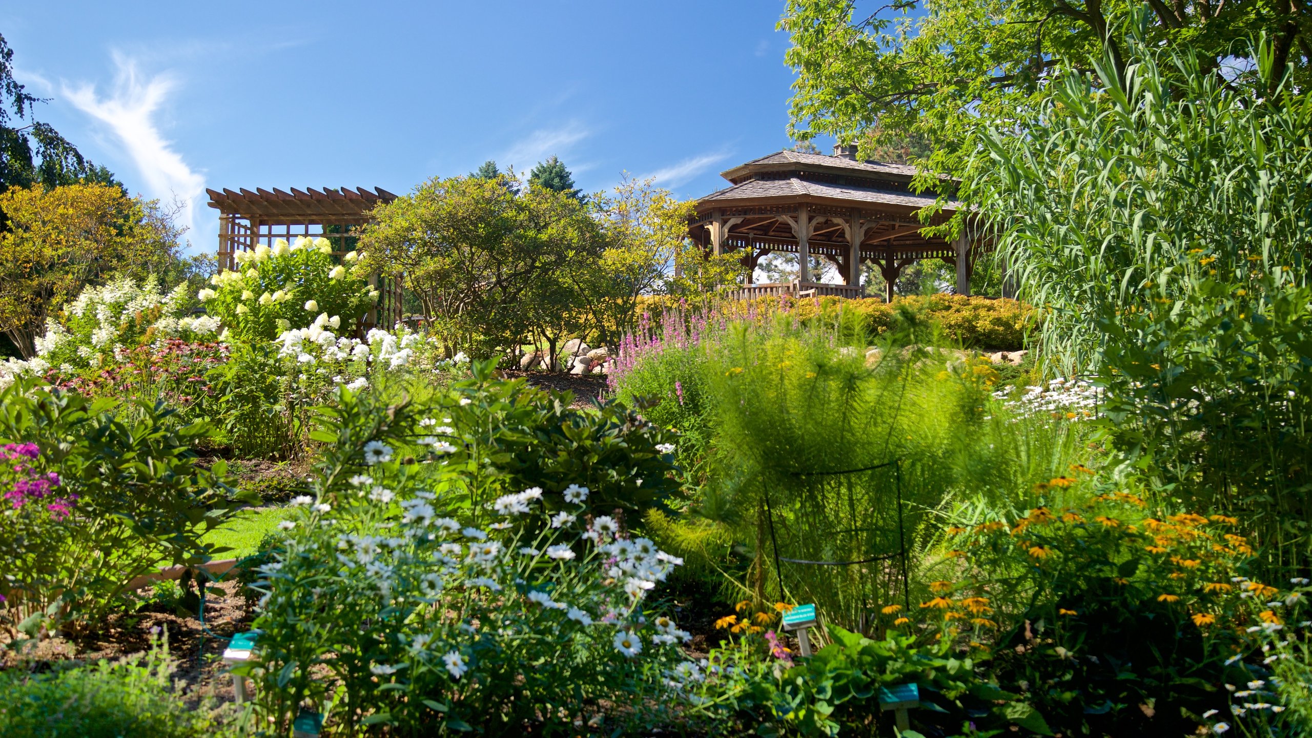 Dubuque Arboretum And Botanical Gardens | Fasci Garden