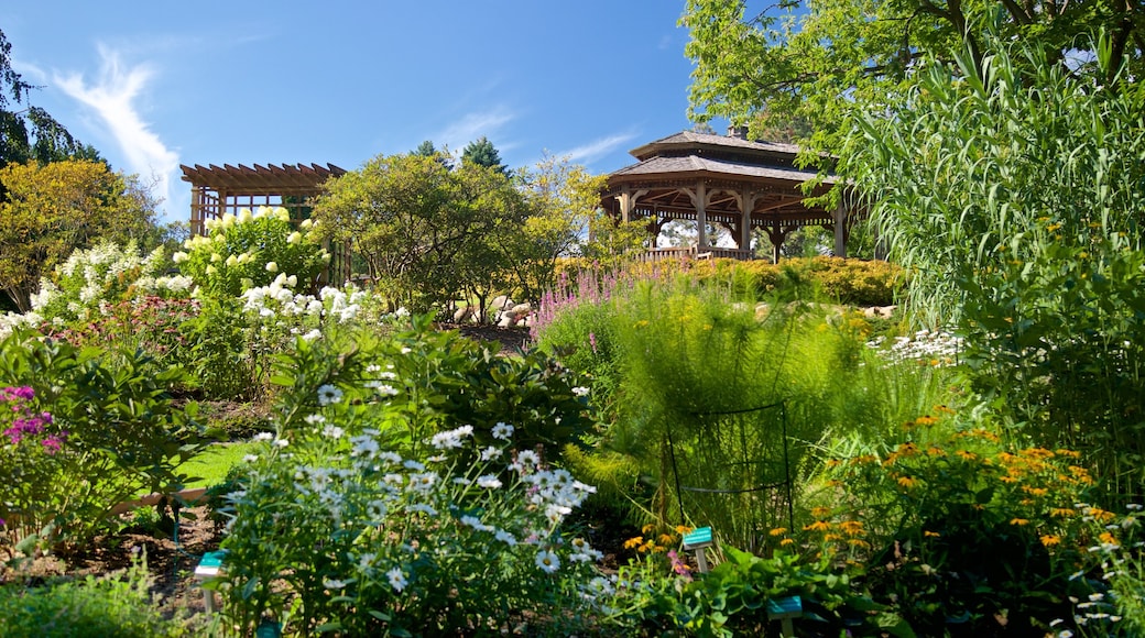 Arboreto y jardines botánicos de Dubuque que incluye flores salvajes y un parque