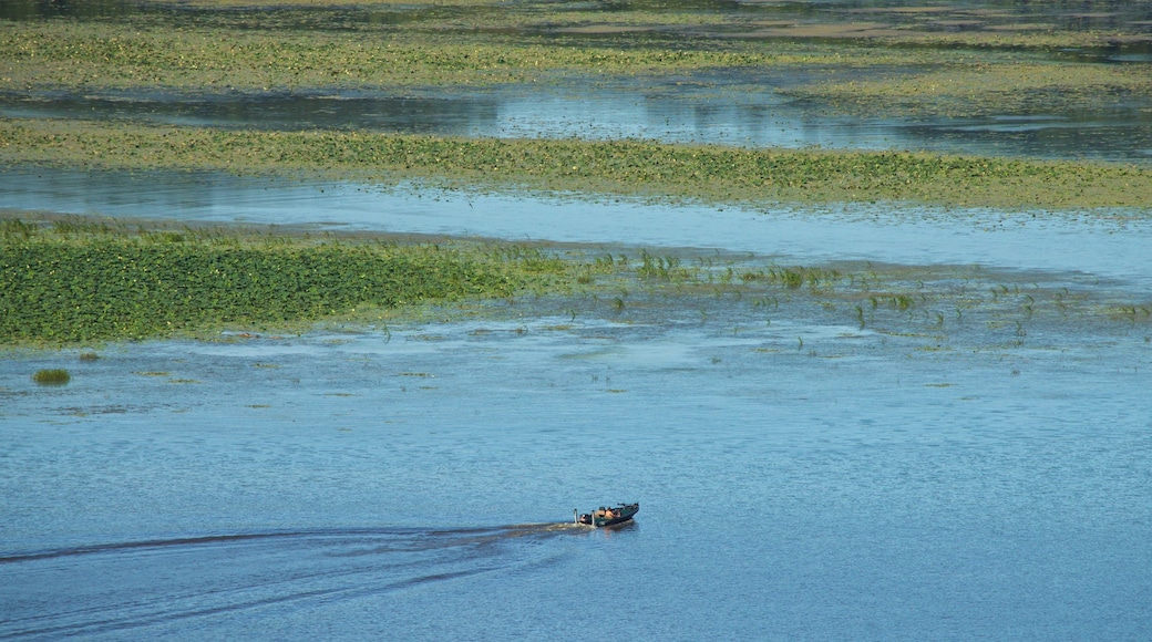 Eagle Point Park which includes boating and a lake or waterhole