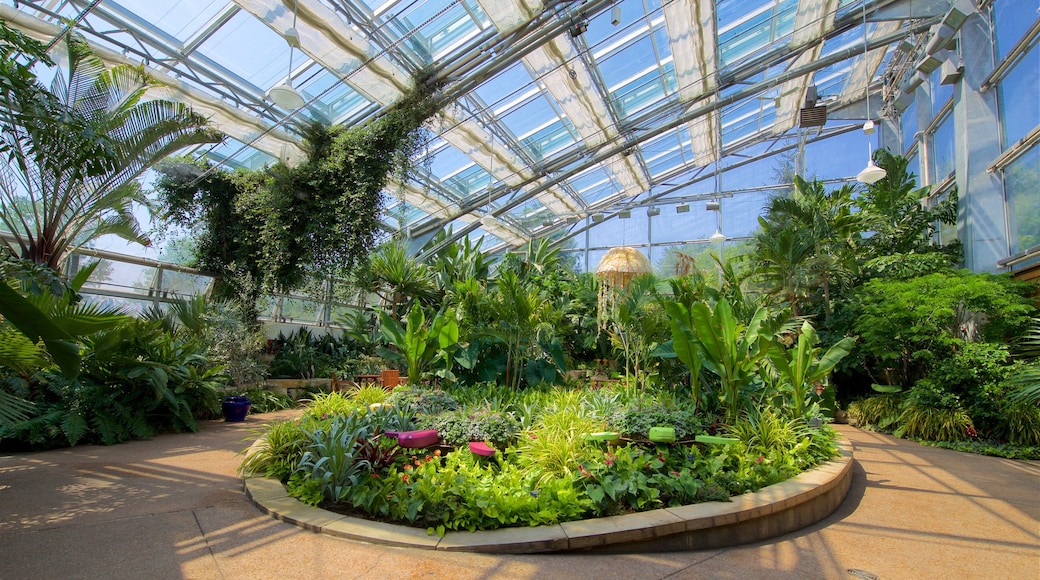 Reiman Gardens showing interior views and a garden