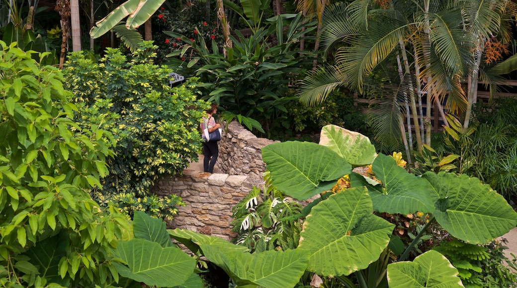 Des Moines Botanical Center og byder på en have såvel som en kvinde