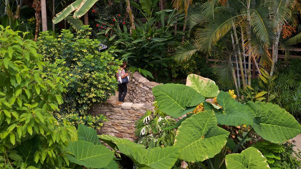 Des Moines Botanical Center qui includes un jardin aussi bien que une femme seule