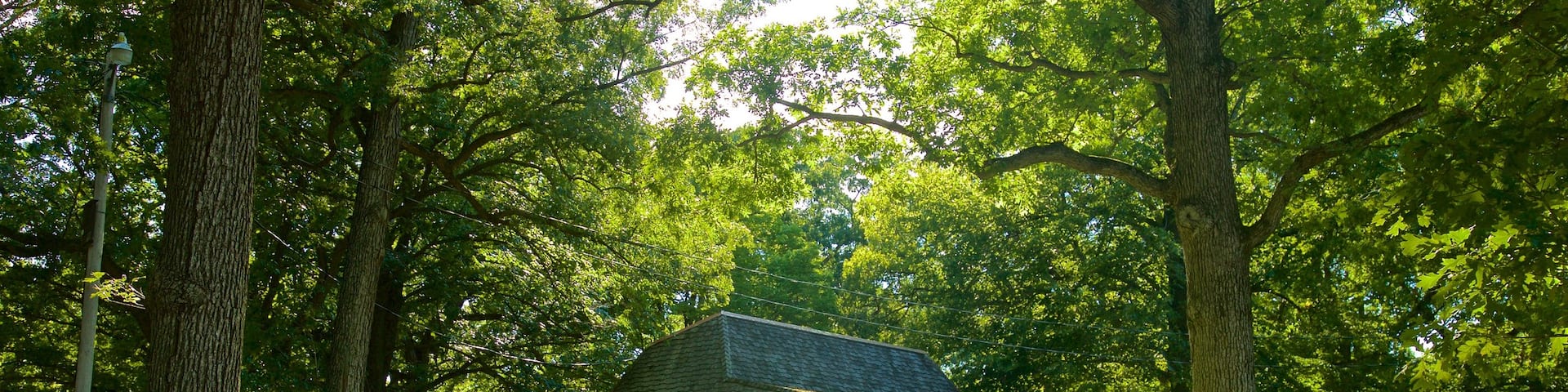 Eagle Point Park featuring a park