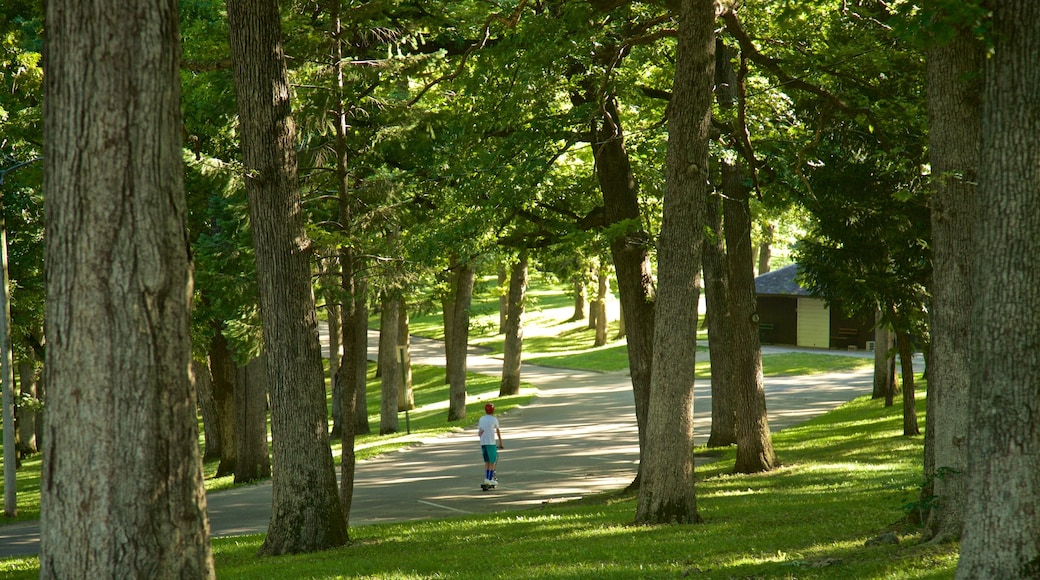 Eagle Point Park featuring a garden as well as an individual child