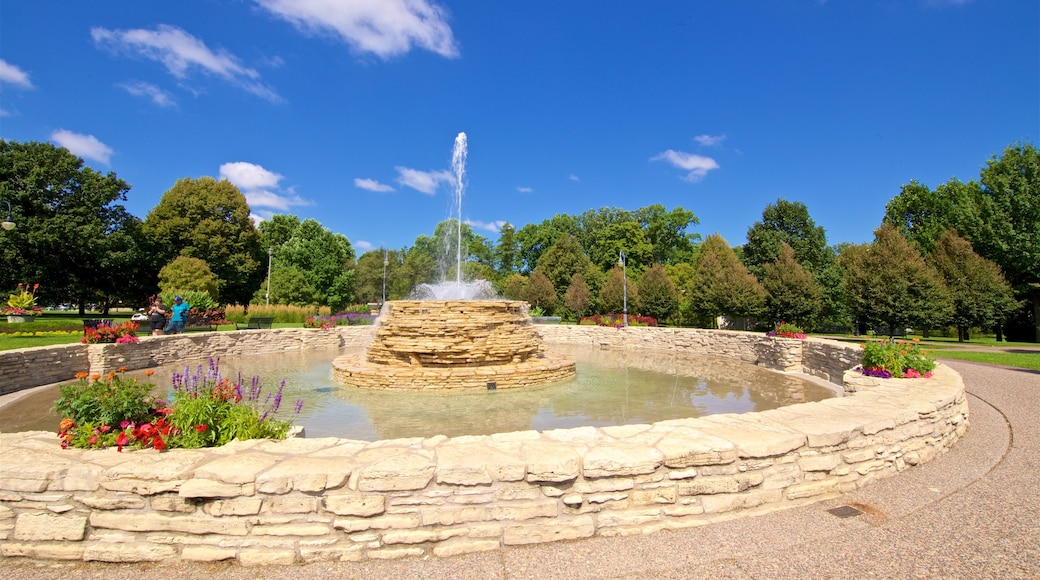 Vander Veer Botanical Park which includes wild flowers, a fountain and a garden