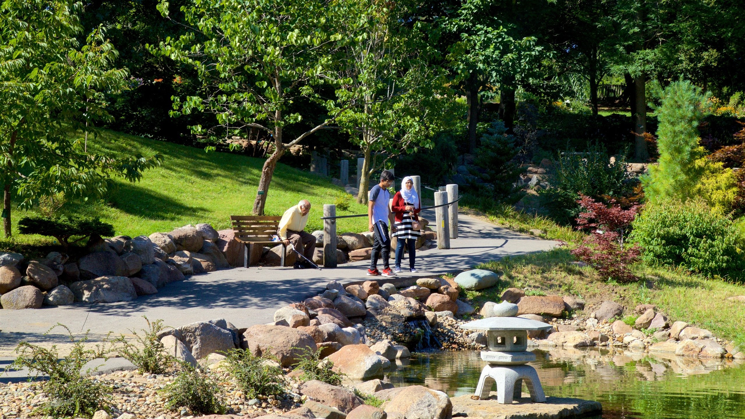 Dubuque Arboretum and Botanical Gardens featuring a garden as well as a couple