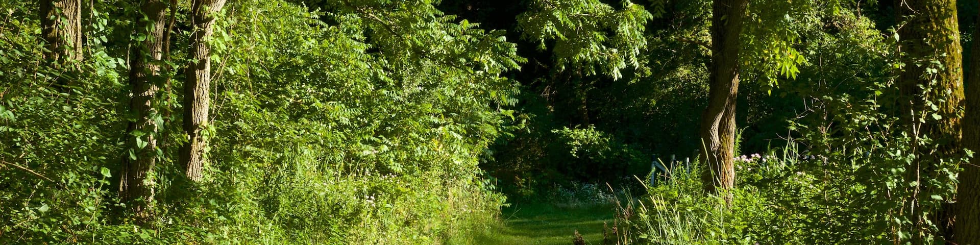 Área recreativa Mines of Spain ofreciendo un parque