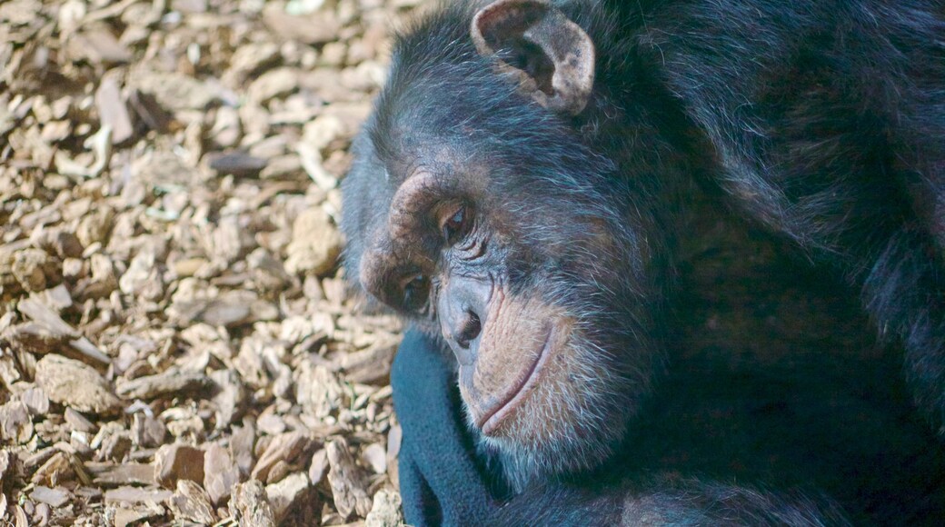 Maryland Zoo