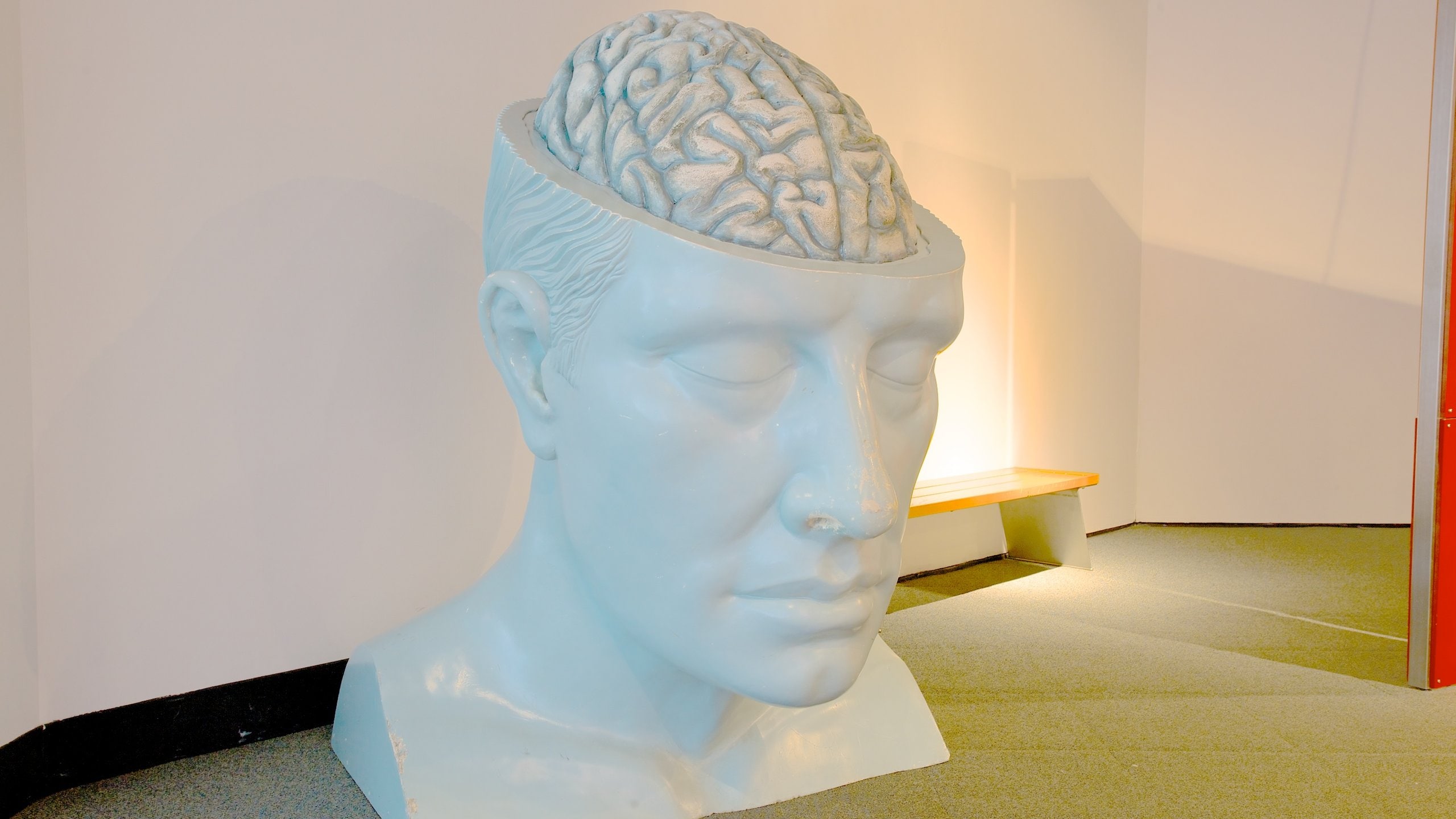 Maryland Science Center Découvrez Inner Harbor avec Expedia.fr