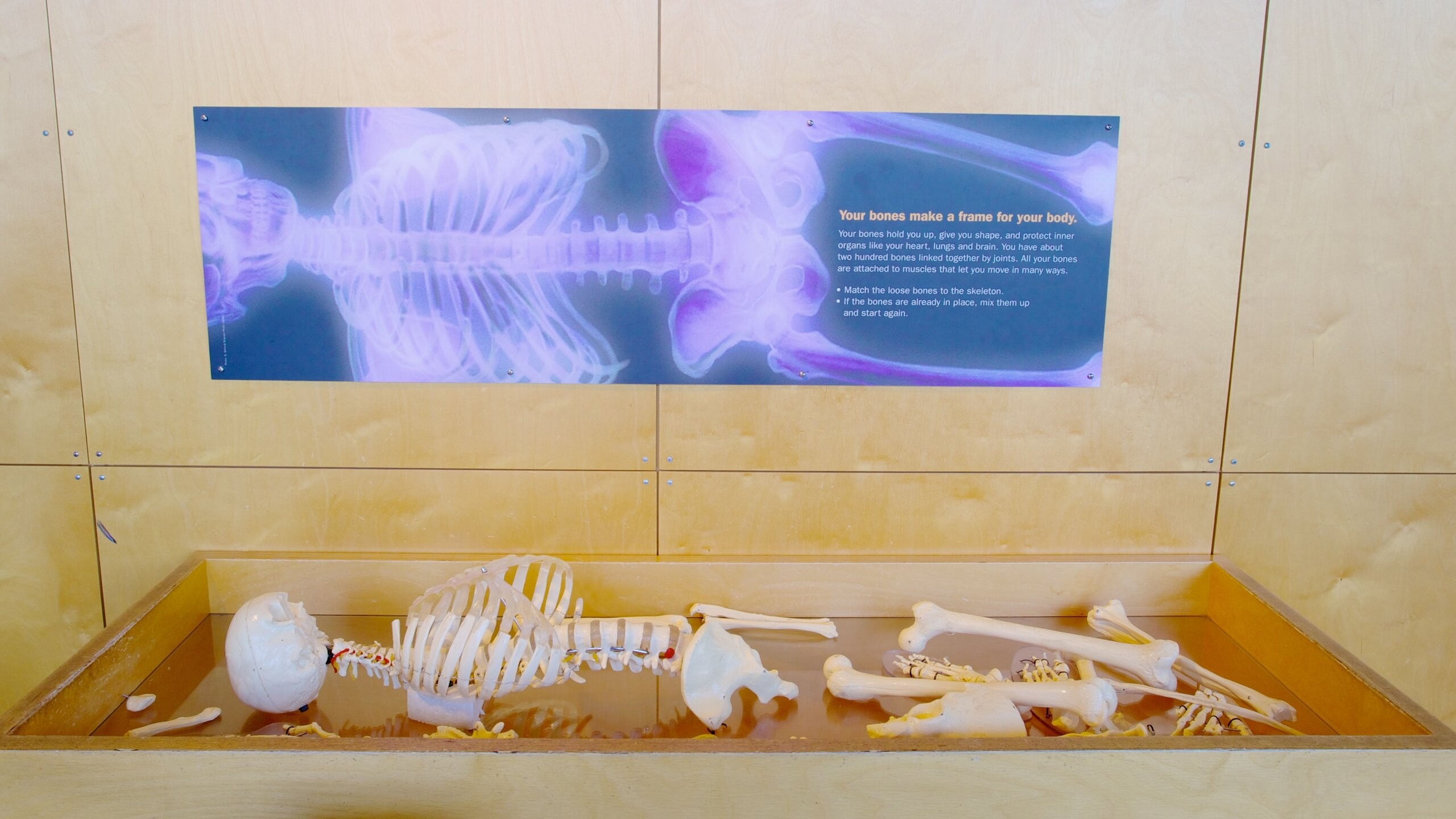 Maryland Science Center Découvrez Inner Harbor avec Expedia.fr