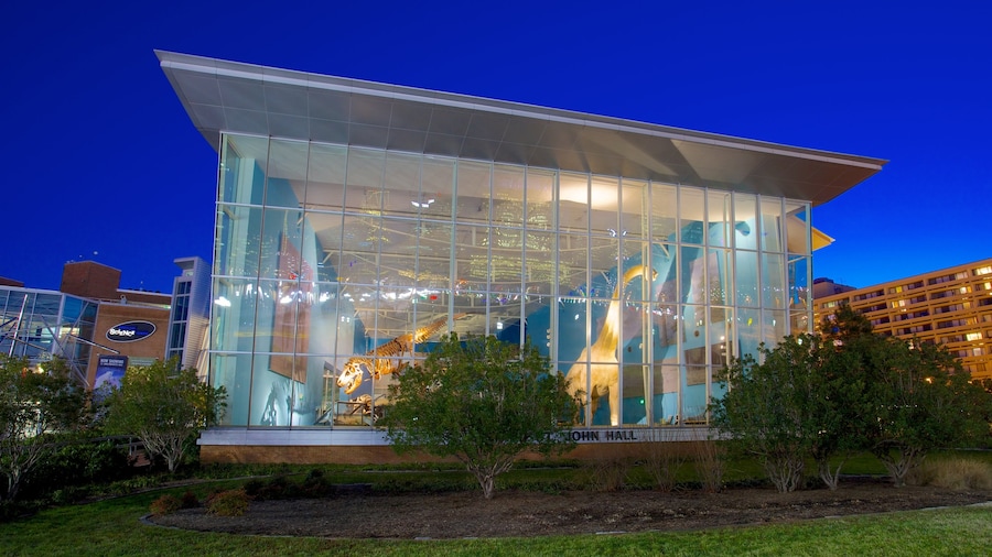 Maryland Science Center presenterar nattliv och en stad