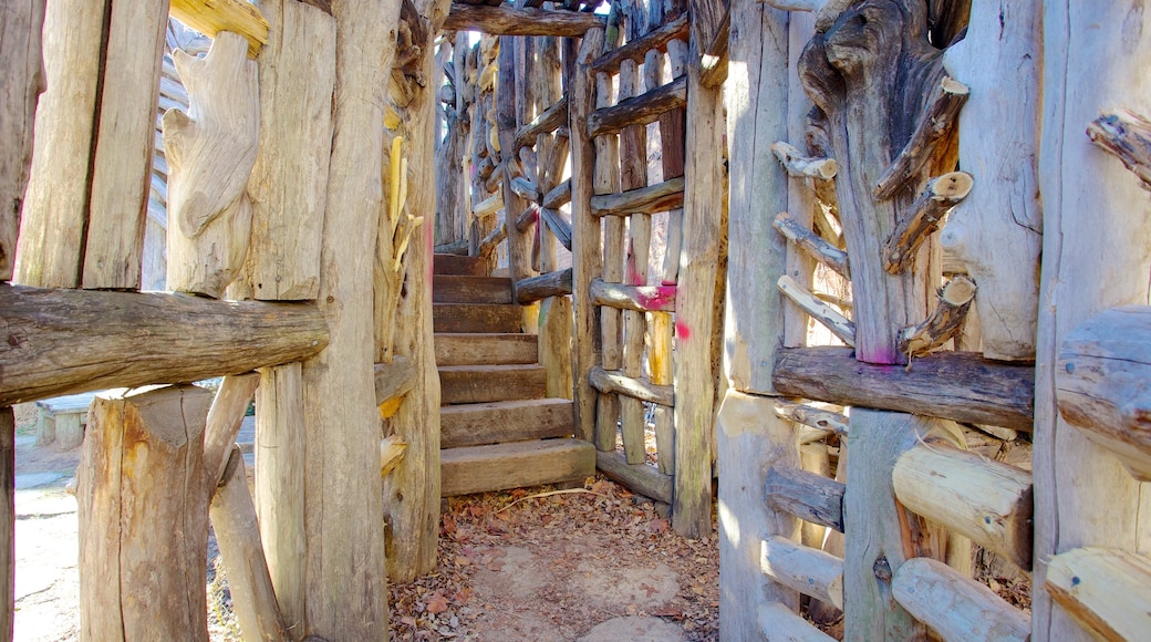 American Visionary Art Museum which includes interior views and art