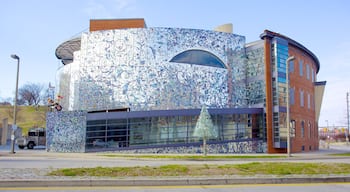 American Visionary Art Museum showing a city and art