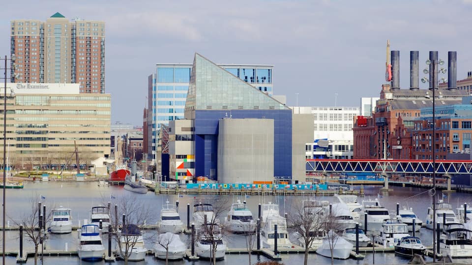 Baltimore Inner Harbor mit einem Bucht oder Hafen, Bootfahren und Wolkenkratzer