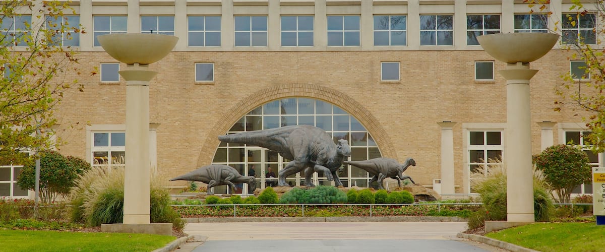 Fernbank Museum of Natural History montrant ville