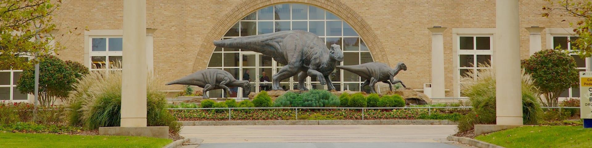 Exploring Fernbank Museum of Natural History in Atlanta with dinosaur sculptures