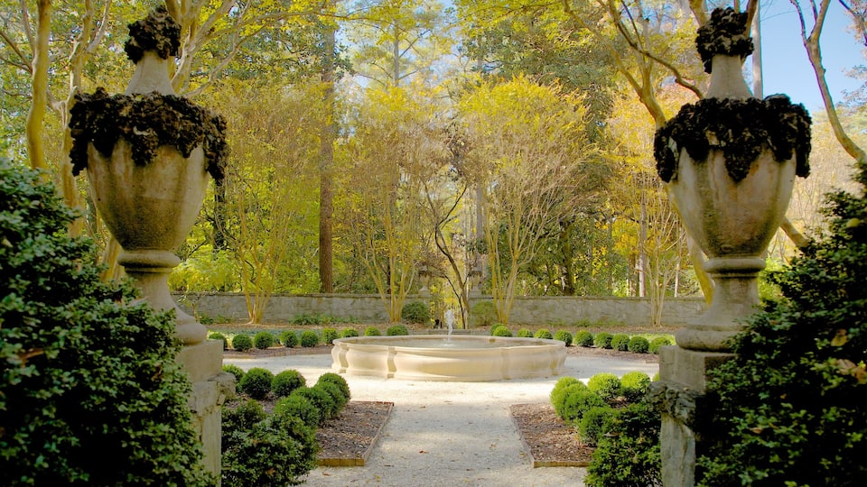 Atlanta History Center montrant panoramas, jardin et fontaine