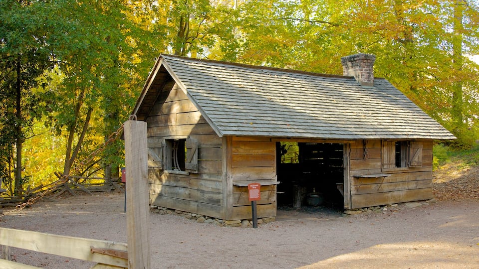Atlanta History Center mettant en vedette panoramas, forêts et feuilles d\'automne