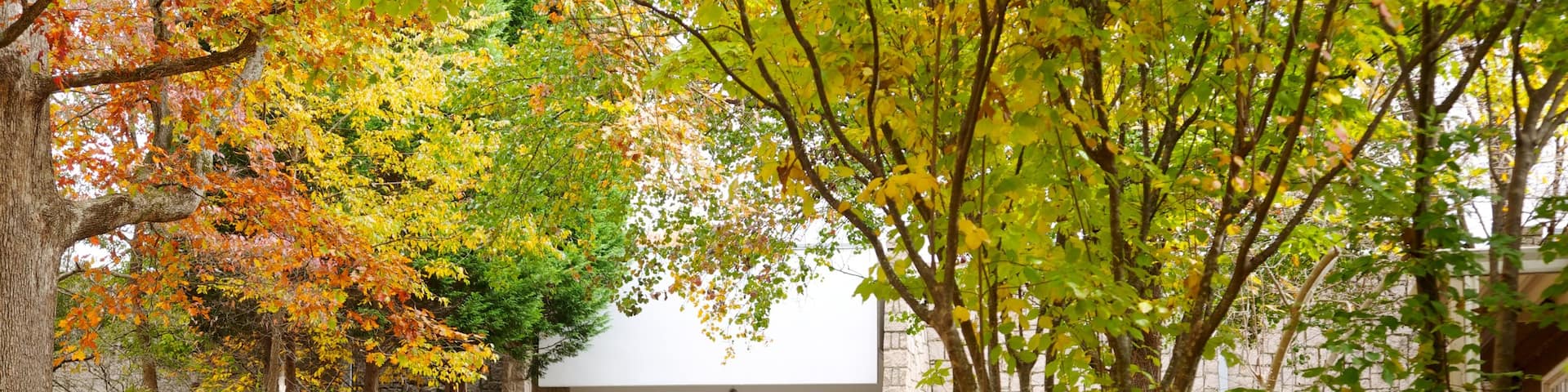 Centro de Ciencias Fernbank ofreciendo los colores del otoño y vistas de paisajes