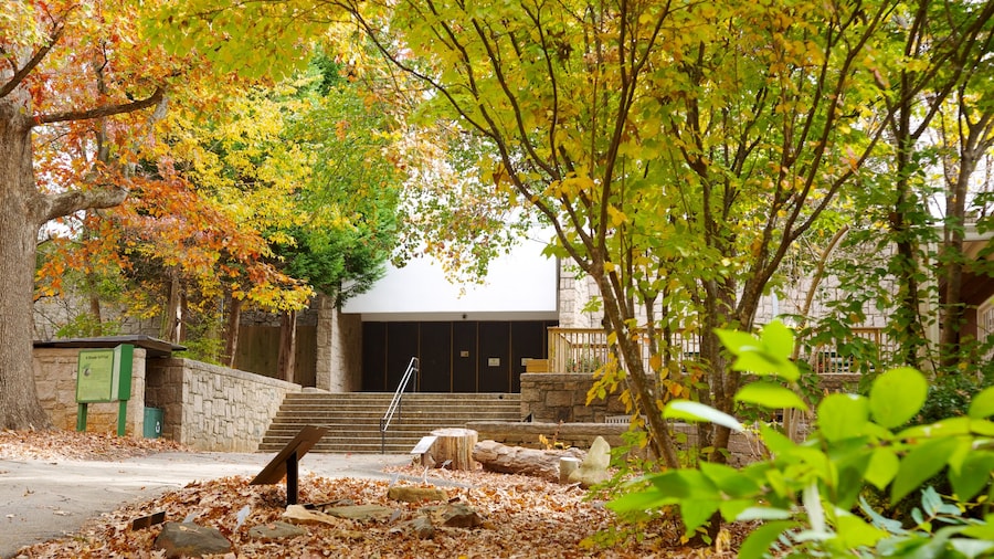 Centro de Ciencias Fernbank ofreciendo vistas panorámicas y hojas de otoño