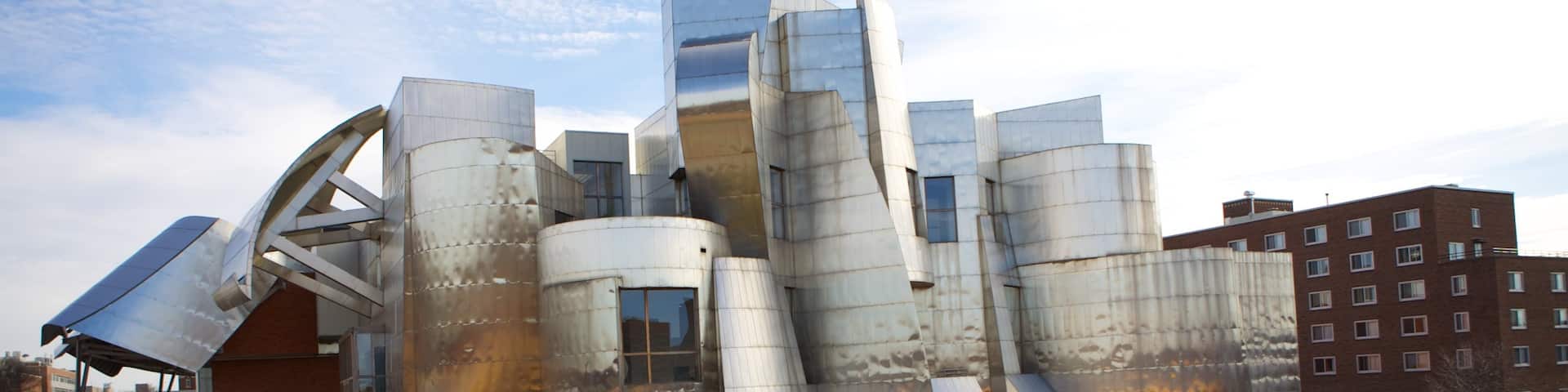 Weisman Art Museum featuring a city