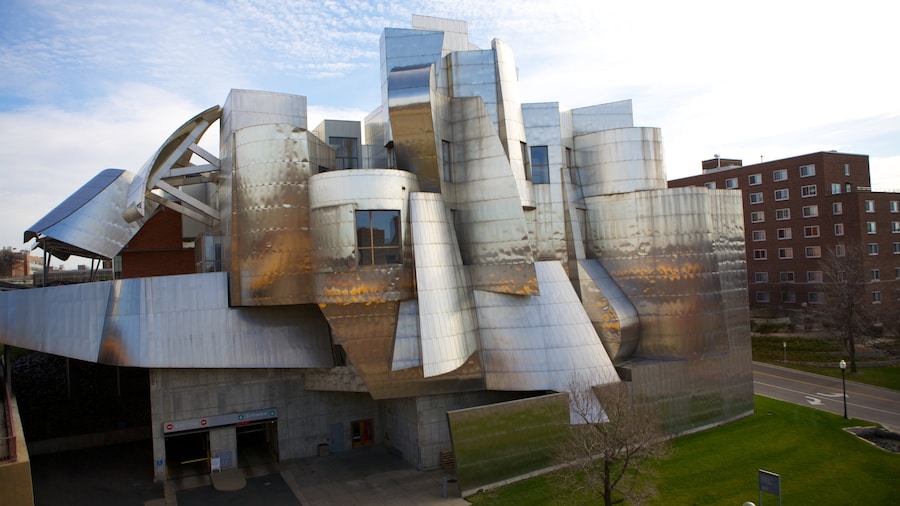 Weisman Art Museum which includes a city