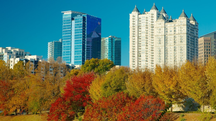 Piedmont Park che include foglie d\'autunno, città e parco