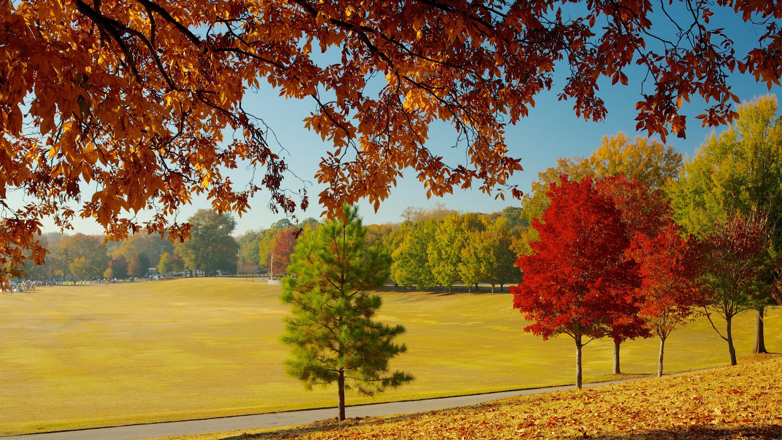 Ansley Park, Atlanta Vacation Rentals house rentals & more Vrbo