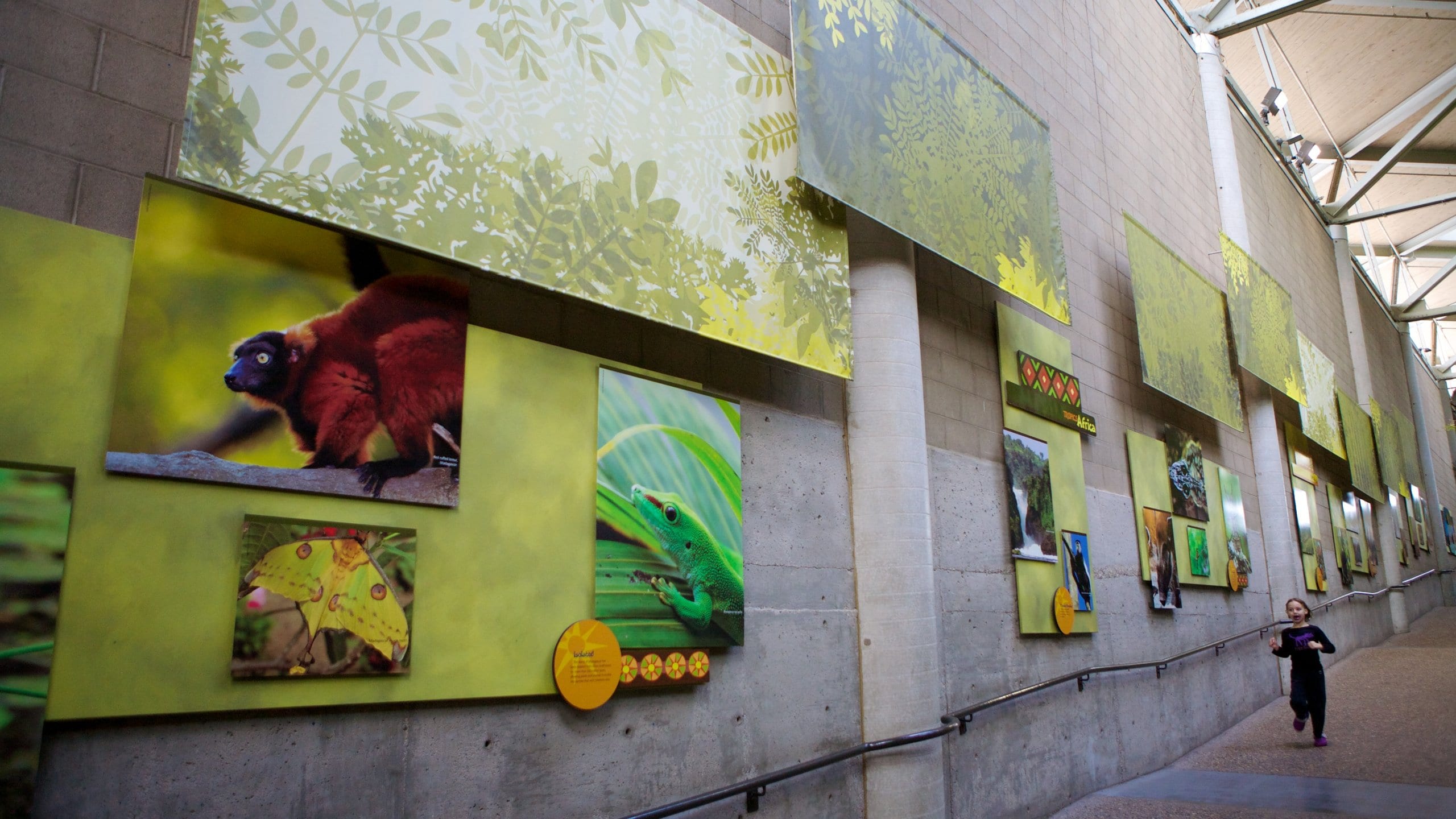 Minnesota Zoo featuring zoo animals, hiking or walking and interior views