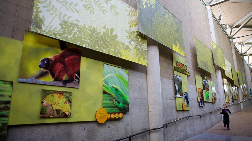Minnesota Zoo featuring zoo animals, hiking or walking and interior views